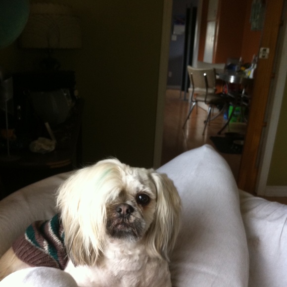 Meet your Posher, whim - Picture 8 of 11